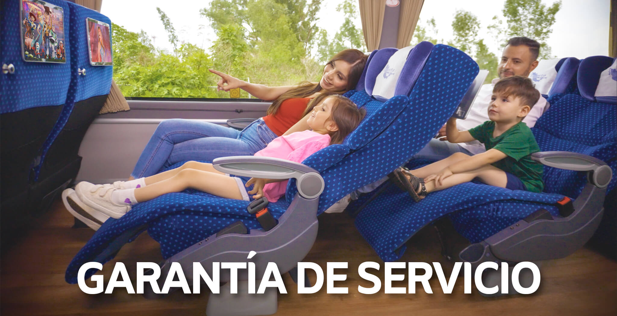 Garantía de Servicio