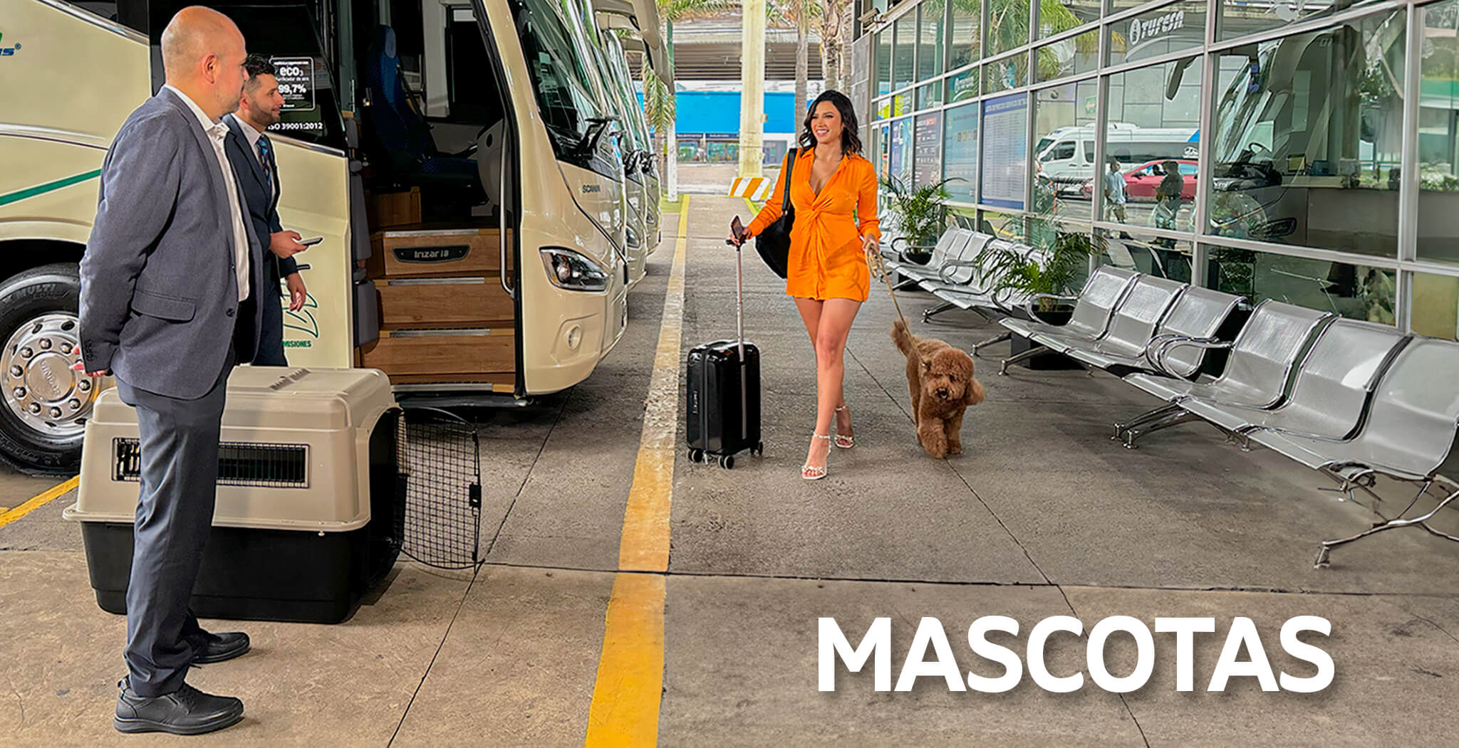 Mascotas